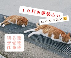 にゃんこ占いでみる10月の運勢＊ほっこり占います イメージ1