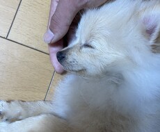 なんでもご相談聞きます イメージ1