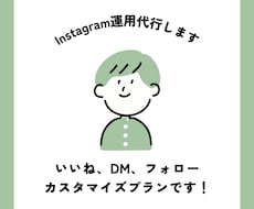 Instagramの運用代行を1ヶ月間します いいね/DM/フォロー作業カスタマイズできます！