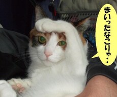 チョコっと話してサクッと聞きます イメージ1
