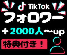 TikTokフォロワーを＋2000人増やします 【特典でいいね＋1,000】★オプションで再生数いいね可能