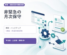 既存システムを月1回点検し軽微修正します イメージ1