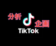 SNSプロがTikTok　分析・企画します イメージ1
