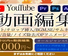 ビジネス系の動画編集を得意として活動しております イメージ1
