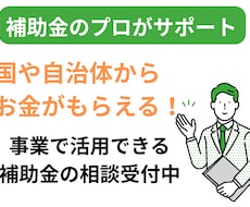 あなたの会社で活用できる補助金の相談に乗ります イメージ1