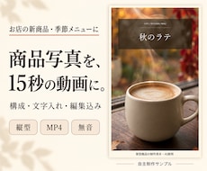 商品写真で15秒の縦型動画広告を制作します イメージ1