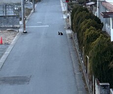 愚痴いっぱい聞きます イメージ1