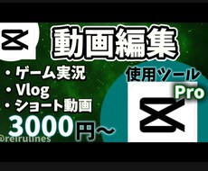 格安で縦動画の様々なジャンルの編集を承ります イメージ1