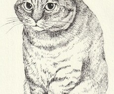 ペットの細密なペン画を描きます イメージ1