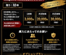 放置しがちなSNS、格安で動かします イメージ1