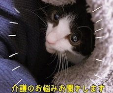 ケアマネが介護のお悩みを聞きます イメージ1