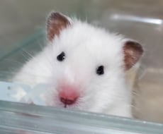 ああしろこうしろはいいません。一緒に悩みます イメージ1