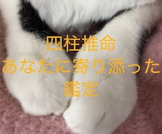 あなたの人間関係のお悩みスムーズな方向へ導きます