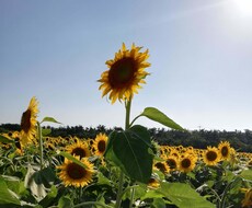 あなたの悩みを強みに変えます イメージ1