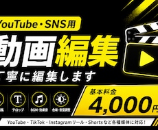 YouTube・SNS用の動画を丁寧に編集します イメージ1
