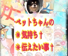 保護活から✴︎学んだペット霊視お気持ち拝見します 保護活から得たペットそれぞれの気持ちをお伝えします†✴︎