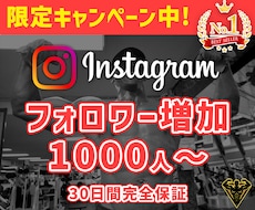 オープン割★インスタフォロワー1000人宣伝します イメージ1