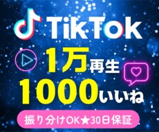 TikTok再生回数1万といいね1000増やします 格安★振り分けOK★多彩なオプション・おまけあり♪