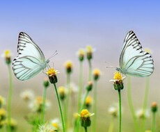 今すごく苦しい気持ちで悩んでいる方、占います イメージ1