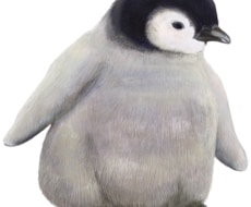 リアルなタッチでペットや動物のイラスト描きます 大切な可愛いペットの魅力をたっぷり表現します！