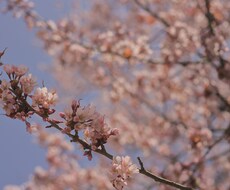 お話しましょう。元気にします イメージ1