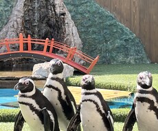 発達障害グレーかも…？お話聞きます イメージ1