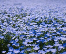 あなたの｢これまで｣から｢これから｣を視ます 過去の出来事、悩み、家族などからあなたの｢これから｣を視ます