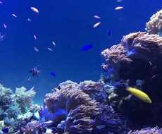恋愛の相談承ります イメージ1