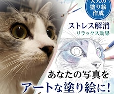 世界に1つ貴方だけの大人の塗り絵を制作します 塗り絵はストレス解消、リラックス効果もあります。