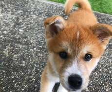 子育ての悩み、心の悩みある方相談のります イメージ1