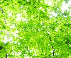 どんな話でも何でも聞きます イメージ1
