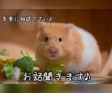 気楽に愚痴聞きます イメージ1