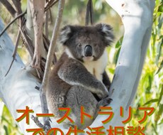オーストラリアでの生活についての相談を賜わります イメージ1