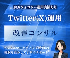 X（Twitter）の運用の改善アドバイスをします プロがX（Twitter）を伸ばすために丁寧に提案をします