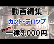 カット・テロップ追加料金なし！一律料金で製作します イメージ1