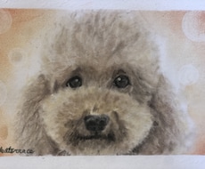 写真を元に動物の顔の似顔絵を描きます イメージ1