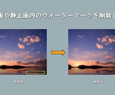 動画内のウォーターマークをそこそこ削除します イメージ1