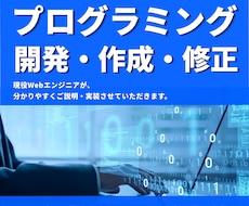 先着３名限定！プログラミングの開発を承ります 【先着3名 3,000円！】お手頃な価格でお悩みを解決