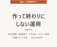商品ページの手入れ、毎月代行します 作って終わりにしない。毎月、数字を見て直す。