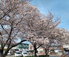 心理セラピー苦しみの原因を解き明かし楽になります イメージ1