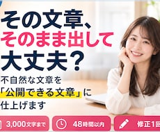 下書きをそのまま公開できる文章まで仕上げます イメージ1