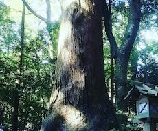 タロットカードであなたのお悩み解決します イメージ1