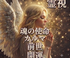 生まれてきた意味・カルマ・過去世・使命等霊視します 自分を知り、エネルギー高く望む人生へ進ませます【ヒーリング】
