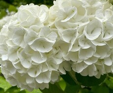 日々のお話しお聞きします イメージ1