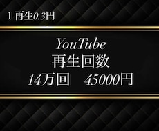 ３ヶ月宣伝し放題⭐️再生回数１４万回＋向上します 30日保証！クーポン期限で前購入OK ⭐急上昇へ⭐振り分け可