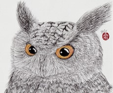 ミミズクさんのペン画イラストを描きます 限定3名様特別価格。繊細な羽根の表現をお楽しみください！