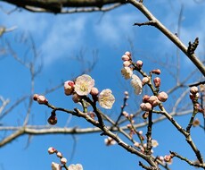 誰かに言いたいあの話、モヤモヤ、傾聴します イメージ1