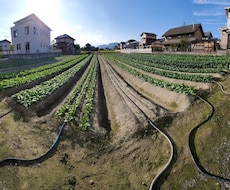 体が欲しがる水で育てる農法・農業を提供します