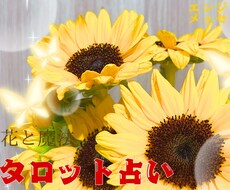 恋愛、仕事、人間関係、家族、タロットで占います
