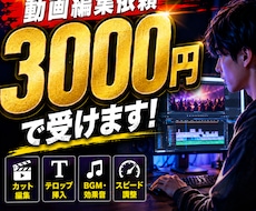 ショート動画のテキスト入力や切り抜き作業を行います イメージ1